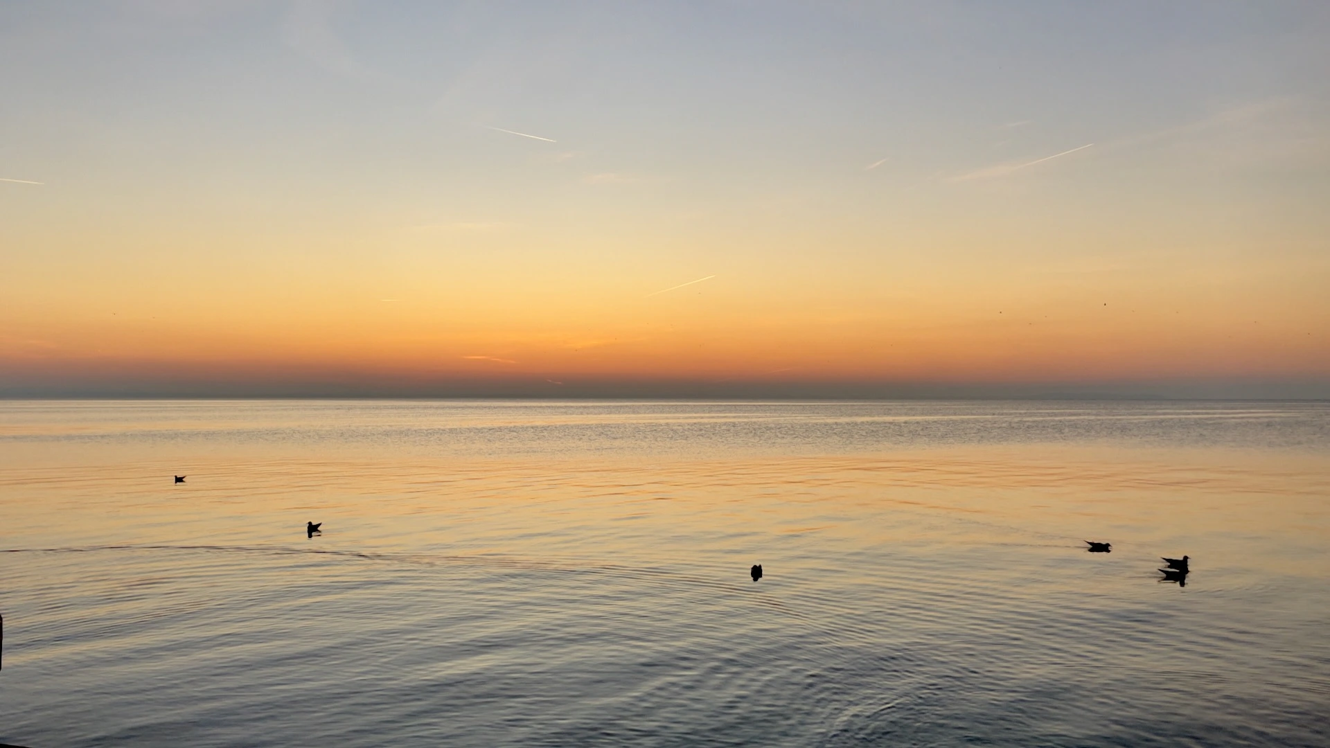 Der Gardasee im Dezember, Blick auf den See von Lazise aus bei Sonnenaufgang