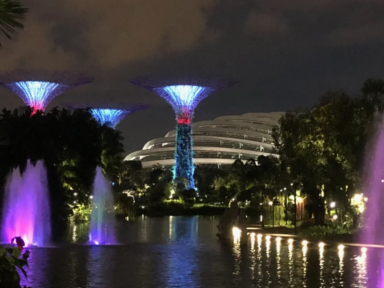Supertrees den Gardens by the Bay